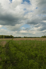 Obraz premium Nature,Landscape