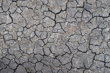 Pattern of a dry ground.