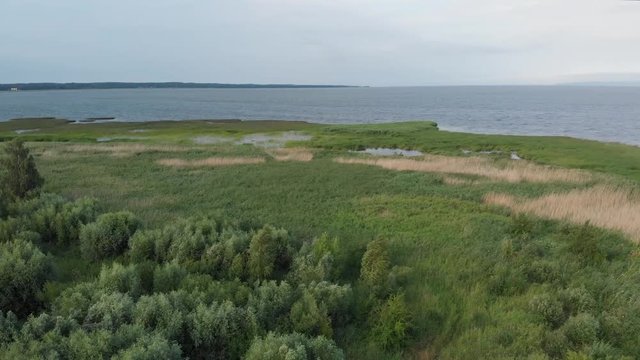 The shore of the Vistula Lagoon covered with rushes. D-cinelike file for color grading.