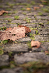 Cobbled Stones Road