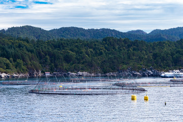 Fototapeta na wymiar Salmon fish farm in fjord. Norway, Bergen.