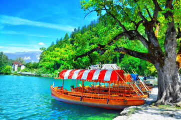 Traditional Pletna boat on the lake. In the background is the famous old castle on the cliff.Bled...