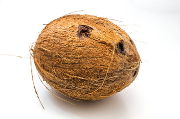 coconut on white background close-up