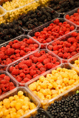 Fototapeta na wymiar Colourful mix of different fresh berries at market