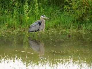 Columbus Ohio and Scioto Park