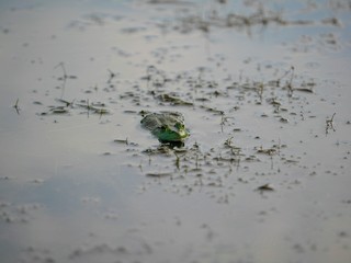 Columbus Ohio and Scioto Park