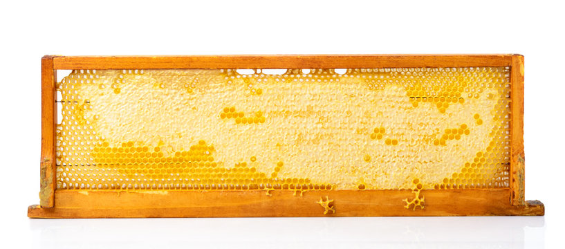 Honeycombs frame with fresh honey isolated on a white background.