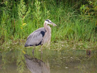 Columbus Ohio and Scioto Park