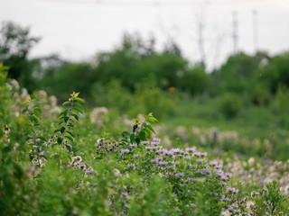 Columbus Ohio and Scioto Park