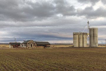 Fototapeta na wymiar Abandoned Farm Buildings Near Grain Elevator in eastern Washington