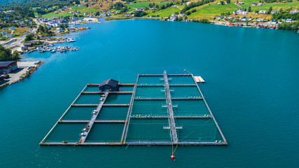 Salmon fish farm in fjord. Olen, Norway. © mariusltu