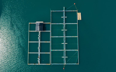 Salmon fish farm in fjord. Olen, Norway.