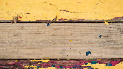 Wood texture and background. Cut tree trunk background. Tree trunk close up. Macro view of cut tree...