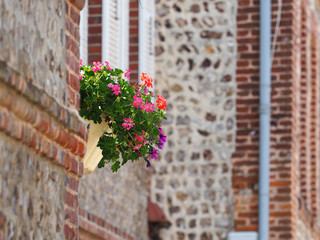 Beautiful view of walls scenic medieval street with historic traditional houses in an old town in Europe. Pink and red geranium flowers and purple petunia in pot on the window