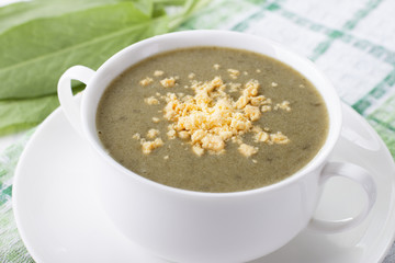 Cream soup from sorrel