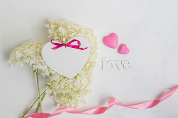 White flower hydrangea and pink hearts