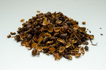 a shell of pine nuts scattered on the table