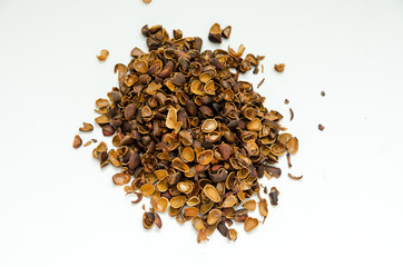 a shell of pine nuts scattered on the table
