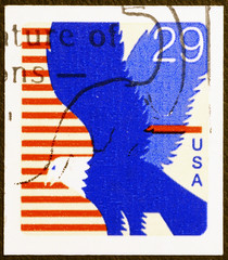 Bald eagle and colors of american flag on postage stamp