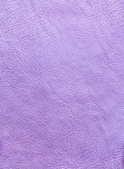 Purple skin texture.