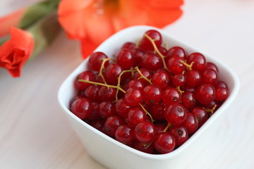 Red currant berry in a white bowl.