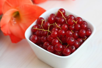 Red currant berry in a white bowl.