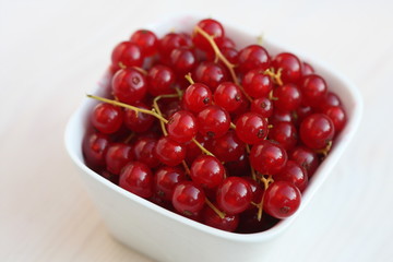 Red currant berry in a white bowl.
