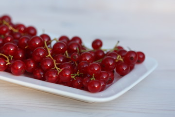 Red currant berry on a white plate.