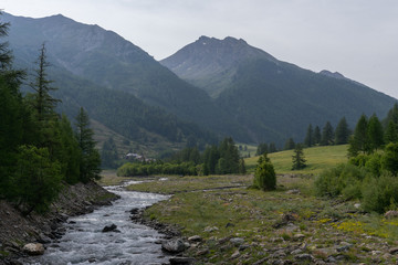 Fototapeta na wymiar Rivière et montagne, Queyras