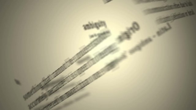 Definition: Ambiguity