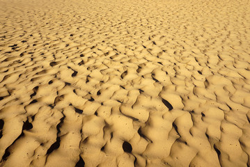 Sand Dunes on the Shores of Lake Michigan with Shadows and Waves similar to the Ocean. Sandy Beach is Close.