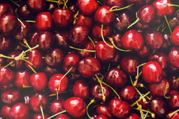 Ripe cherries. View from above. Cherry background.