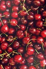 Ripe cherries. View from above. Cherry background.