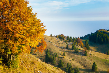 Autumn mountain landscape