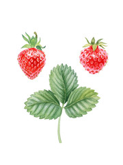 Strawberries