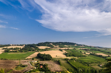 Fototapeta na wymiar Italian countryside and hill, landscape of Italian countryside 