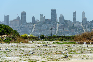 Vogelschutzgebiet mit Stadt im Hintergrund
