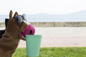 play with funny donkey puppet in the beach for preschool or nursery concept.Education activity time...