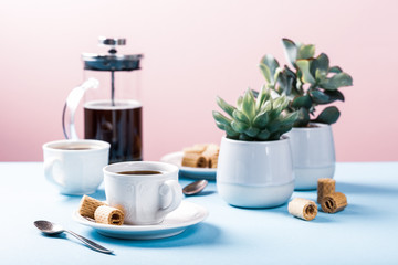 Beautiful composition with two cups of coffee with crispy mini wafer rolls and indoor plants succulent on blue and pink background with copy space. Retro style toned.