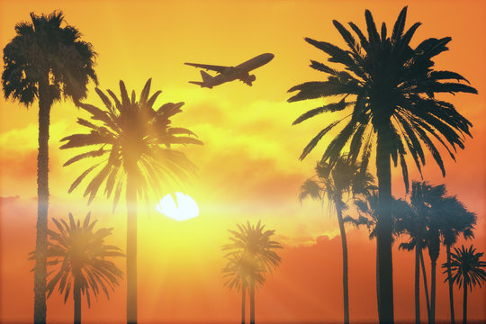 flying plane above palms at sunset