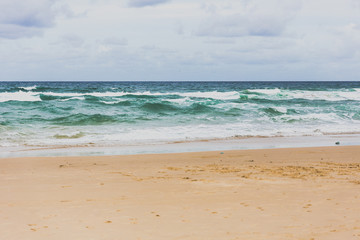 pristine beach in Gold Coast with gold sand and big waves on the Pacific Ocean