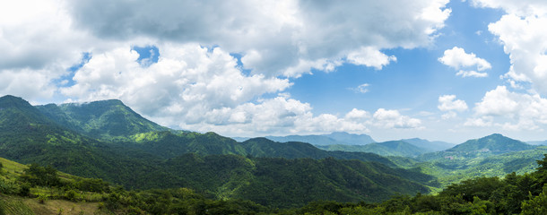 Panorama tropical rainforest in Thailand. - obrazy, fototapety, plakaty