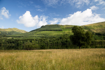 Fototapeta premium Scottish Highland Hillside and Loch on a Summer Day