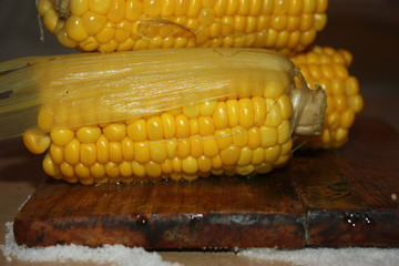 corn