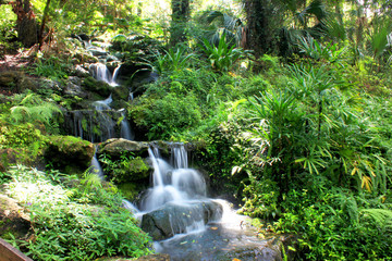 Rainbow Springs Florida © sbrenwald