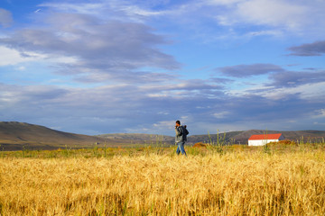 Man in yellow wheat meadow in Turkey. Conceptual design. Agricultural scene..