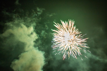 An Extraterrestrial enjoying the firework display