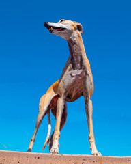 Greyhound