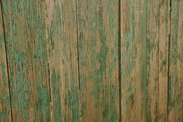 gray green wood texture from wide boards old fence