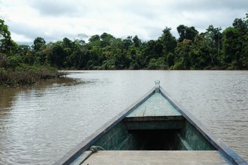 Fototapeta na wymiar Javari valley, Amazonia / Brazil - FEB 15 2016: canoeing on the remote Itaquai river far from any civilization